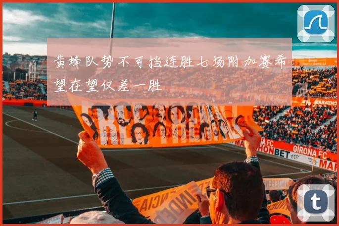 黄蜂队势不可挡连胜七场附加赛希望在望仅差一胜