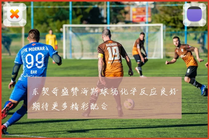 东契奇盛赞海斯球场化学反应良好期待更多精彩配合