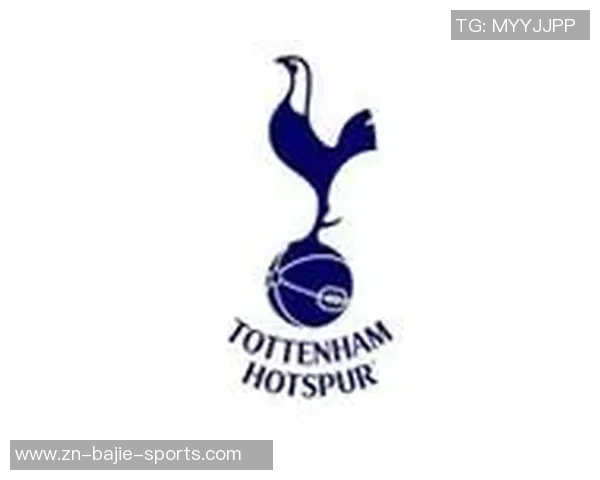 热刺大股东刘易斯家族信托注资1亿镑助力俱乐部发展